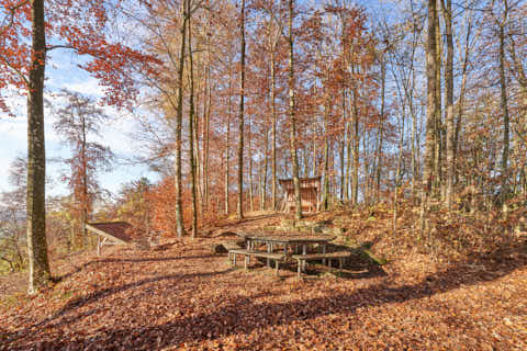 Gemeinde Julbach Landkreis Rottal-Inn Schlossberg Herbst (Dirschl Johann) Deutschland PAN